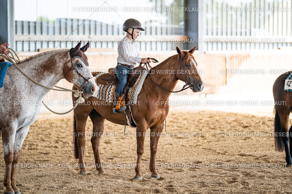 DSC08700 | Pferdegrafie