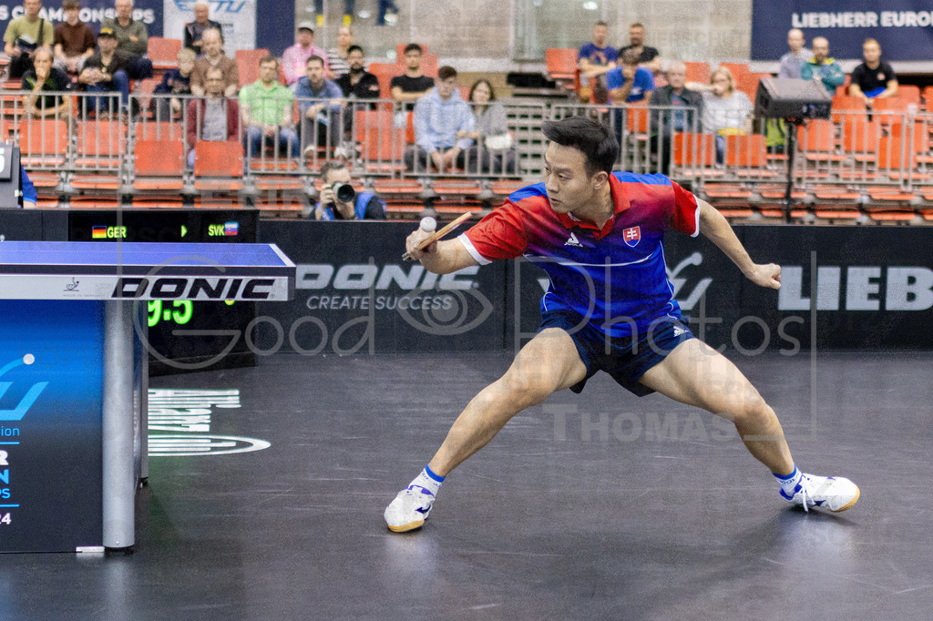 European_Championships_2024-10-18_124 | good-photos - Realisiert mit Pictrs.com