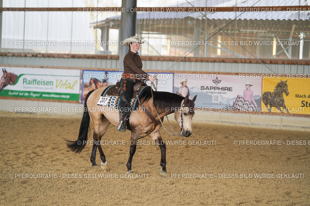 DSC00143 | Pferdegrafie