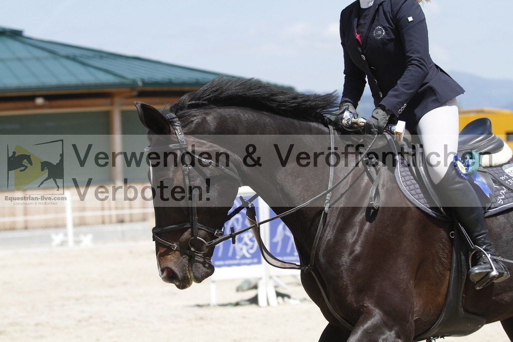 _MG_6643 | equestrian-live-com