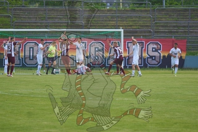 BFC Dynamo vs. Berliner AK 07 044 | mythos-online-redaktion