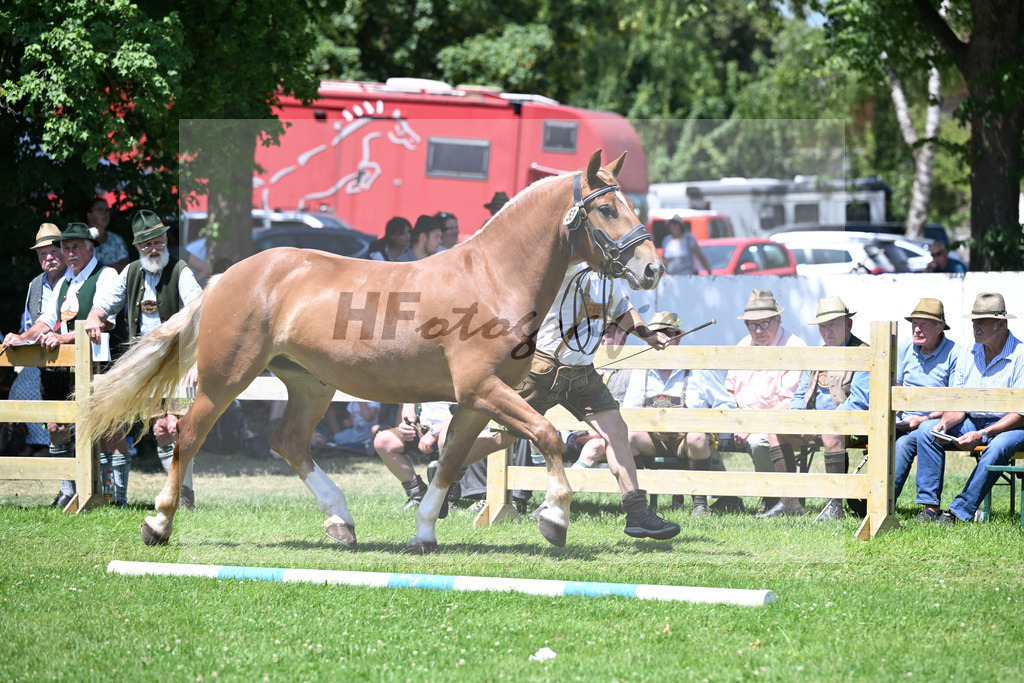Kat-Nr. 53 Gretl v. Red Bull_Gerg_18250935 | hf-fotografie - Realizzato con Pictrs.com