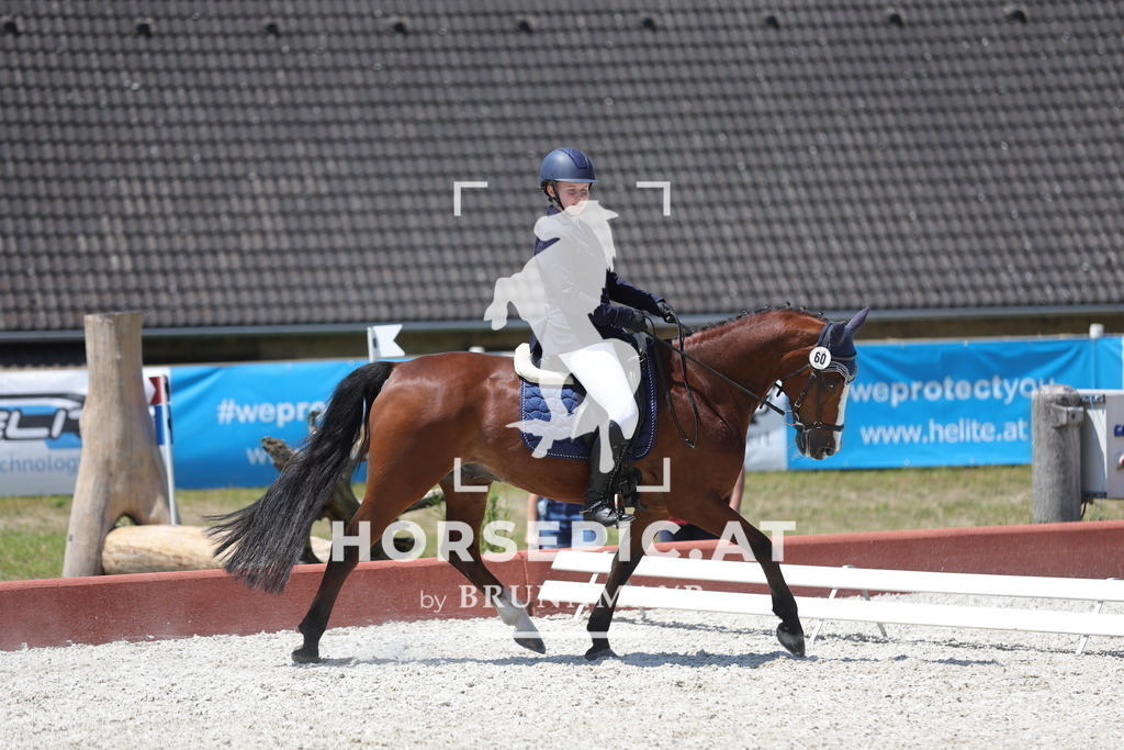 0P6A6346 | Willkommen bei Brunnmayr - Design & Fotografie – Ihrem Spezialisten für Reitturniere und Pferdeveranstaltungen in Oberösterreich, Salzburg und Bayern! Seit über 17 Jahren sind wir leidenschaftlich dabei.