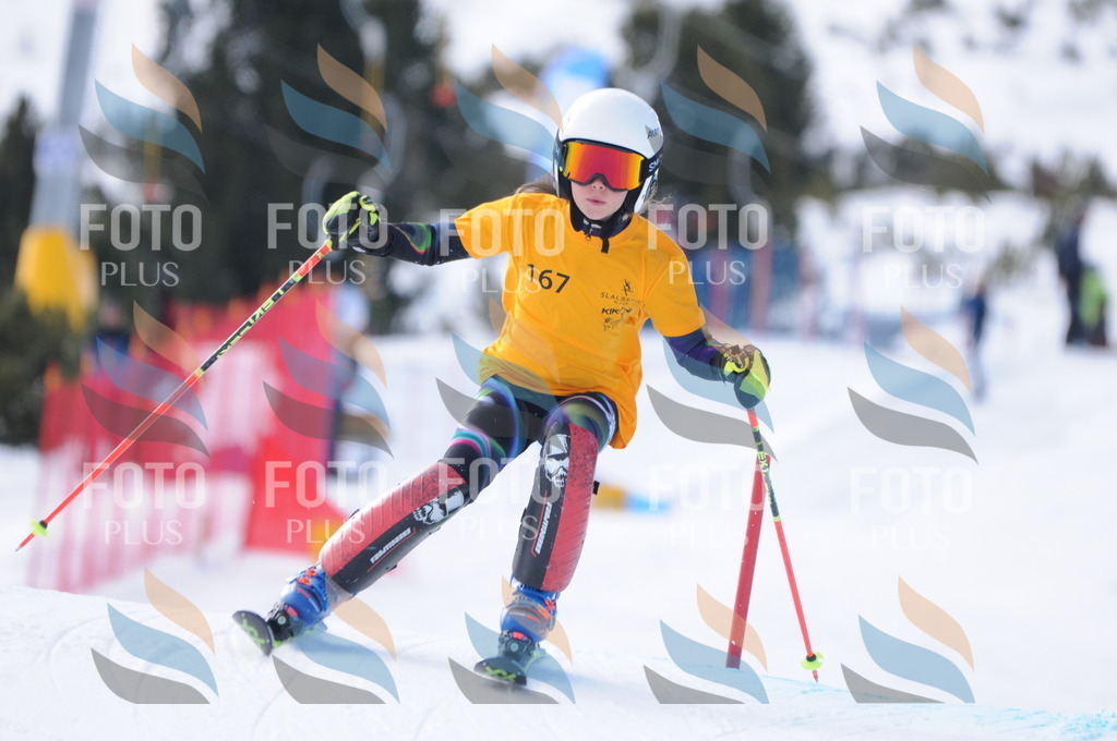 C7363 | holidayphoto