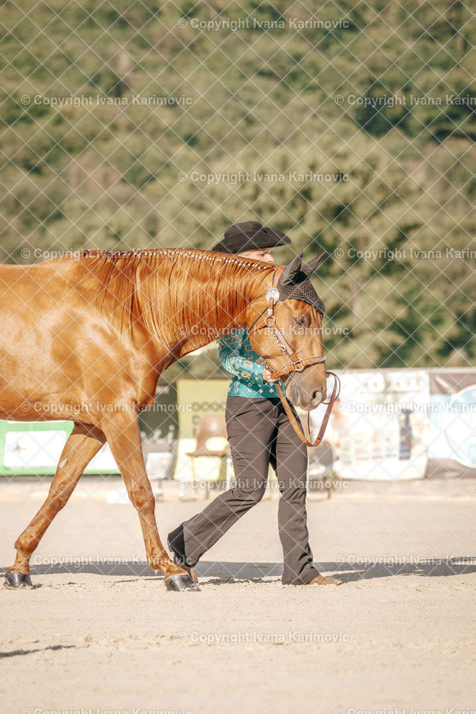 DSC05275 | ikphotography - Realisiert mit Pictrs.com