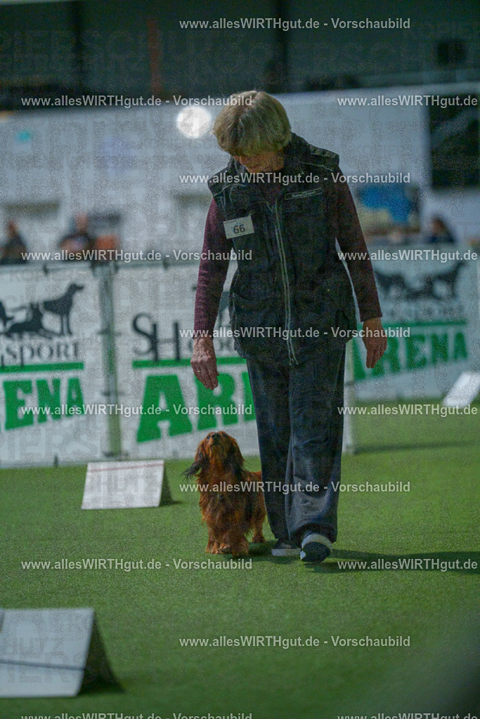 7R503629 | Professionelle Tierfotografie in Mönchengladbach von Daniel Wirth (allesWIRTHgut). Liebevolle & natürliche Bilder von Hunden & Katzen für unvergessliche Erinnerungen.