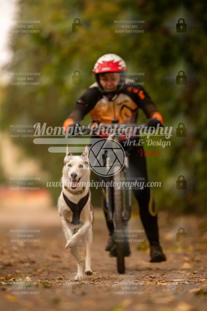 CDLBDB_14_10_2023_Samedi-180 | PayLife