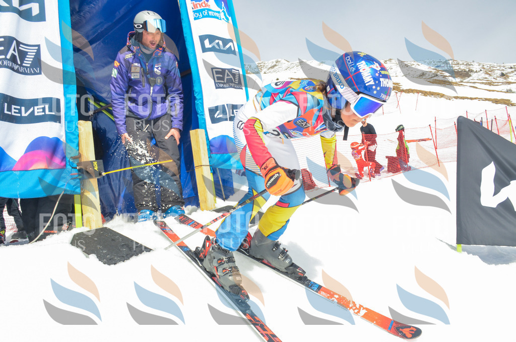 _ELE7735 | holidayphoto