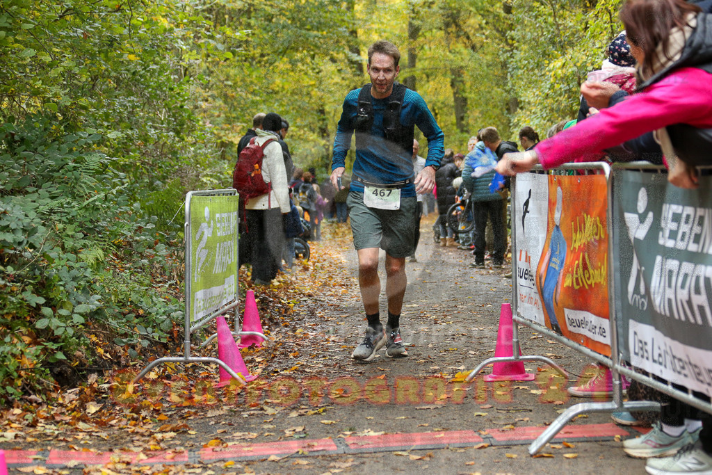 251026_1255_EX1_1873 | Sportfotografie im Rhein-Sieg Kreis, Köln, Bonn, NRW, Rheinland Pfalz, Hessen, etc. Unser Tätigkeitsfeld umfasst den Laufsport vom Volkslauf über den Marathon, Duathlon, Triathon bis zum Ultralauf wie Kölnpfad Ultra oder Schindertrail.