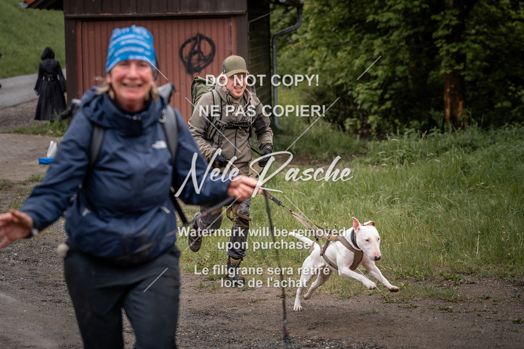 nelerasche_SoZieleinlauf_336 | nelerasche