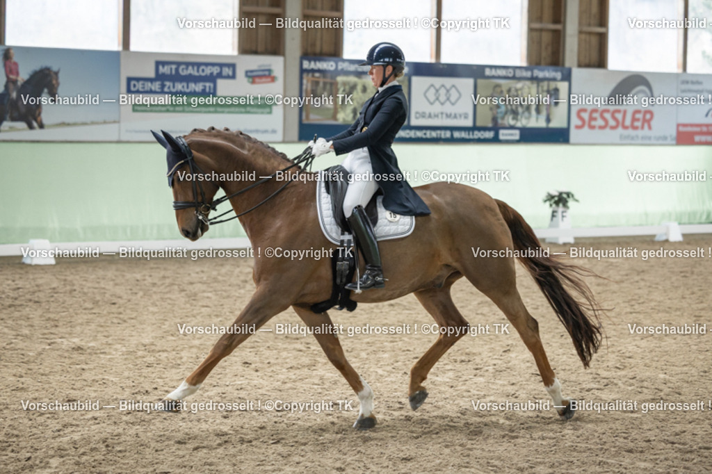 _D5A6145 | Emotionale Pferde- & People-Fotografie rund um Heidelberg, Leimen & Umgebung. Natürliche Fotos von Pferd, Mensch & Familie. Jetzt Termin sichern!