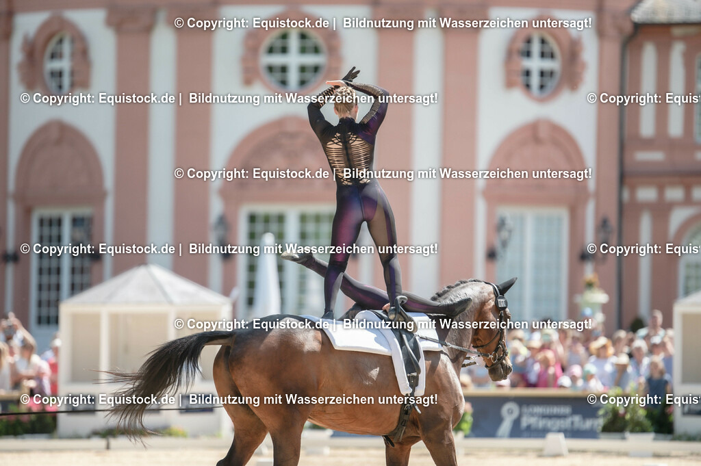 20230528_Voltigieren_NASPA_0257 | equistock