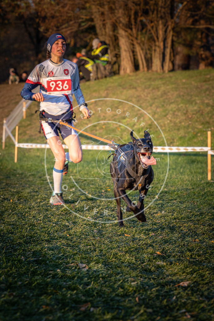 CaniXpix_0L8A1796 | Hundefotografie, Tierfotograf, Pfotenfotografie, Fotoshooting Hund, Hunde Portrait, Hundesport, Hundeportraits, Heideshooting, Hunde, Sportfotograf, Hundefotograf, Turnierhundsport, THS,  - Realisiert mit Pictrs.com
