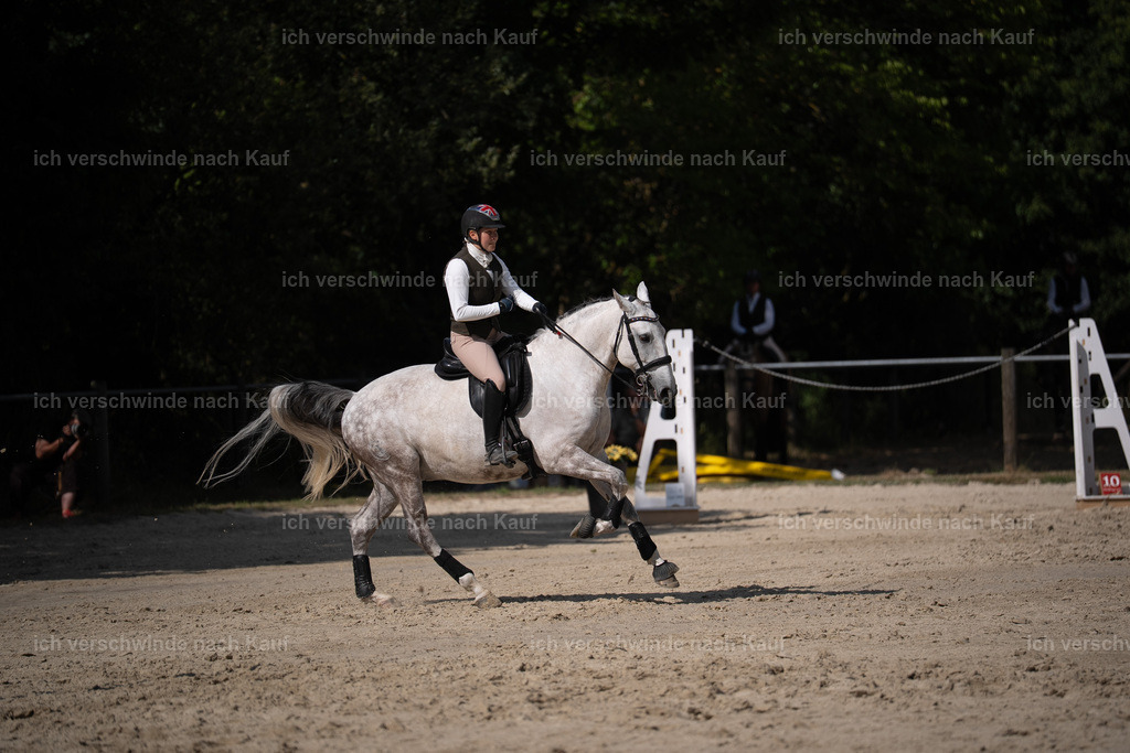 WS_SP_87_Stoibphotography_SO11149 | working equitationturnier fotograf videograf stoibphotography marixx film working equitation deutschland reitsport turnierfotografie eventfotografie equestrian events