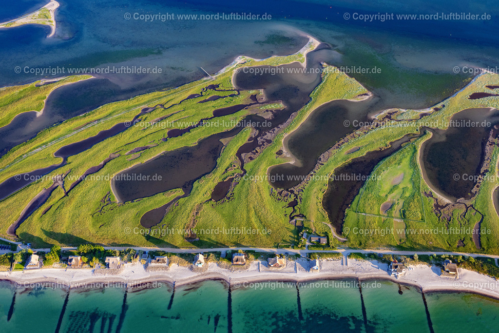 Heilgenhafen_Graswarder_ELS_9023030622 | HEILIGENHAFEN 03.06.2022 Küstenbereich mit sandiger Strand- und Gras- Landschaft der Halbinsel Graswarder-Heilgenhafen mit einigen Einfamilienhäusern in Großenbrode im Bundesland Schleswig-Holstein. // Coastal area of the peninsula Graswarder-Heilgenhafen with a few single- family houses at the beach in Grossenbrode in the state Schleswig-Holstein. Foto: Martin Elsen