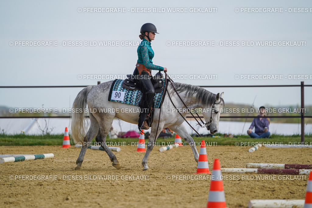 DSC04633 | Pferdegrafie