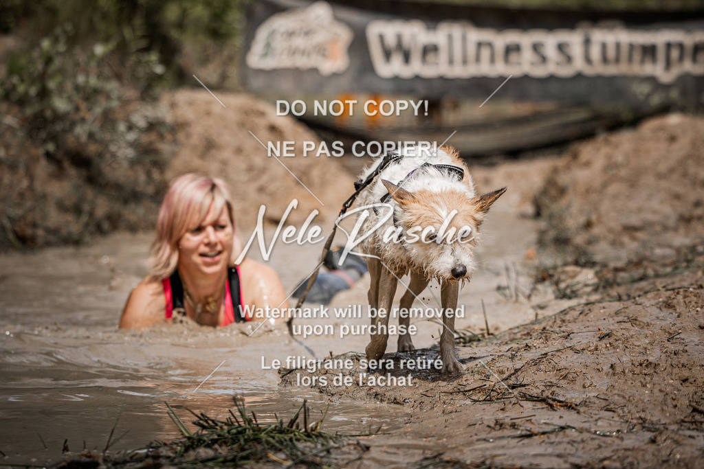 nelerasche_Hoope2026_Sa1230-1300_23 | nelerasche