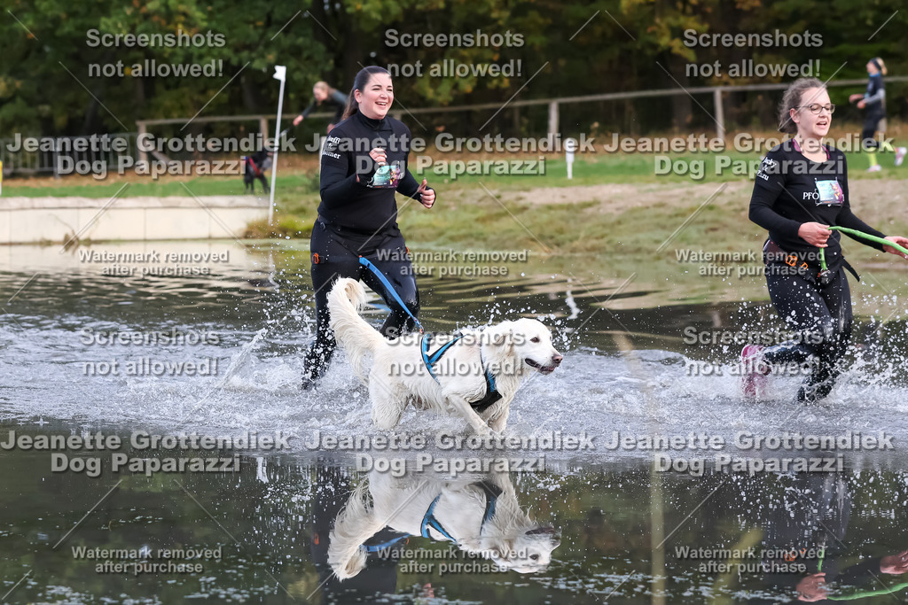 Dog Paparazzi - Strongdog 10-25-6910 | Dog Paparazzi Jeanette Grottendiek Fotografie & Videografie - Realisiert mit Pictrs.com