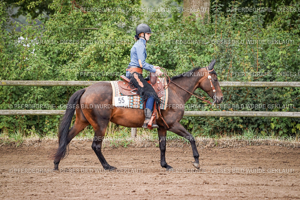 DSC05945 | Pferdegrafie