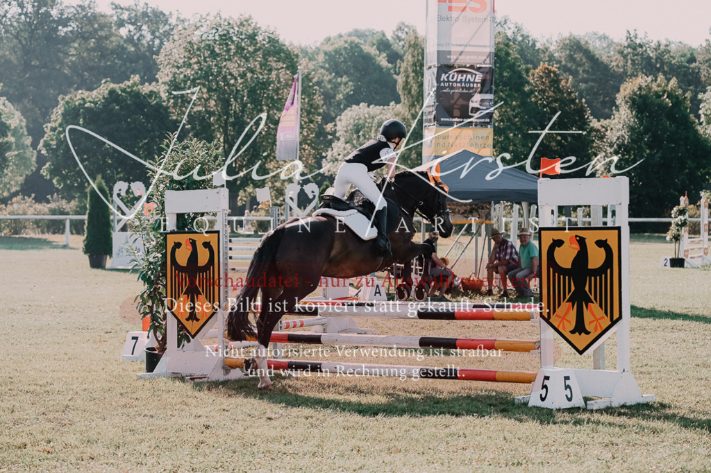 DSC_4470 | Pferde- und Turnierfotografie in Westsachsen. Pferdeportraits, Auftragszeichnungen und intuitive Kunst.