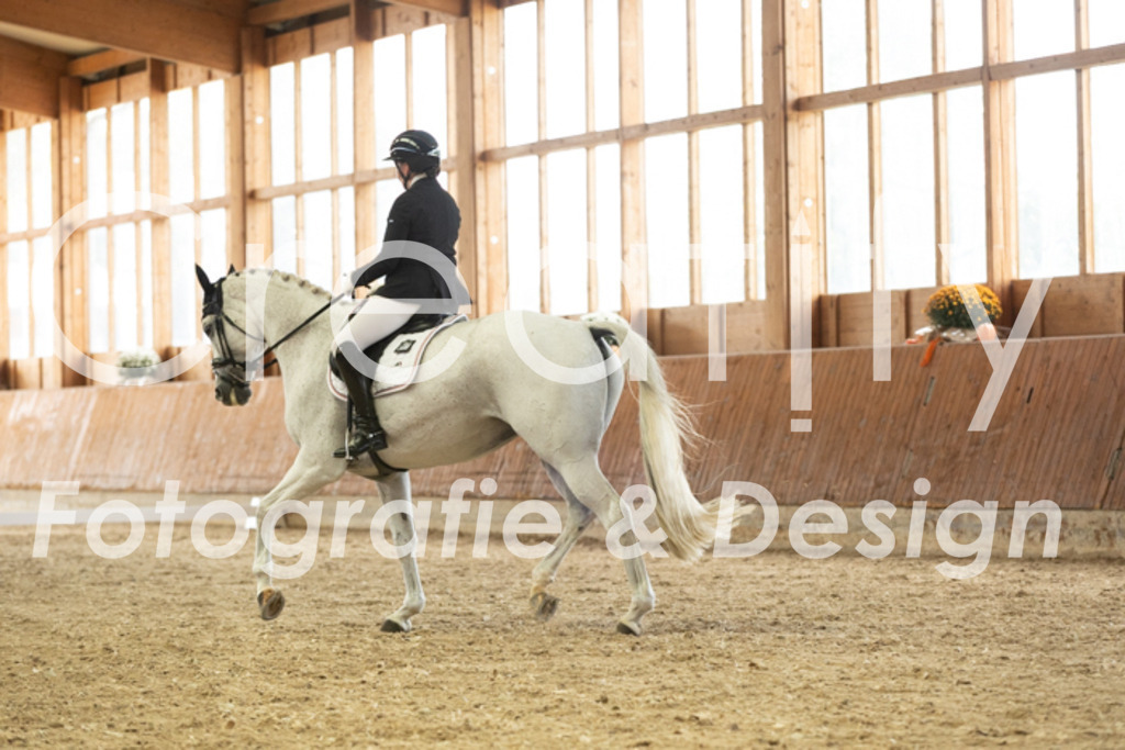 IMG_3069 | Creatify Fotografie