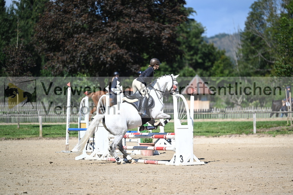 DSC_8235 | equestrian-live-com