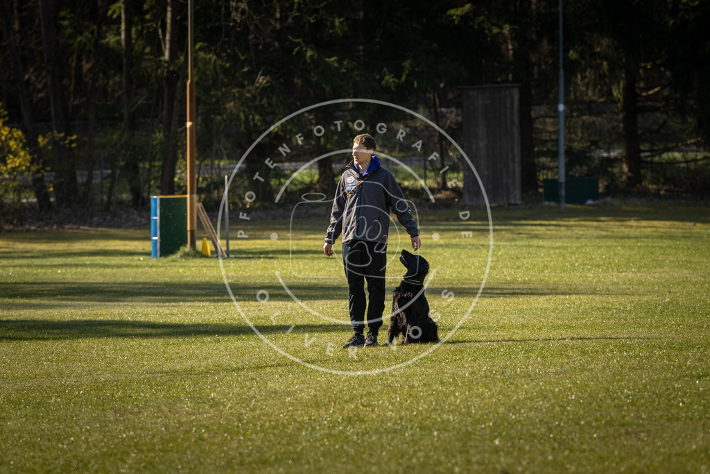 Pfotenfotografie_DV3A0158 | Hundefotografie, Tierfotograf, Pfotenfotografie, Fotoshooting Hund, Hunde Portrait, Hundesport, Hundeportraits, Heideshooting, Hunde, Sportfotograf, Hundefotograf, Turnierhundsport, THS,  - Realisiert mit Pictrs.com
