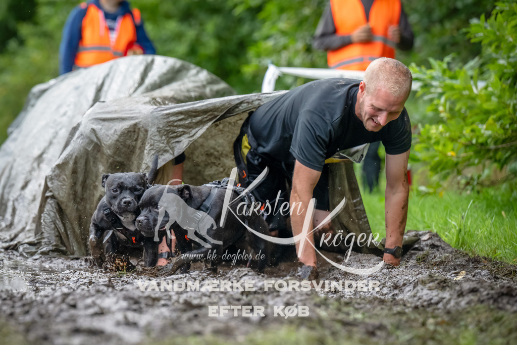 1048_ZZ92954-Bearbeitet | kk-dogfotos