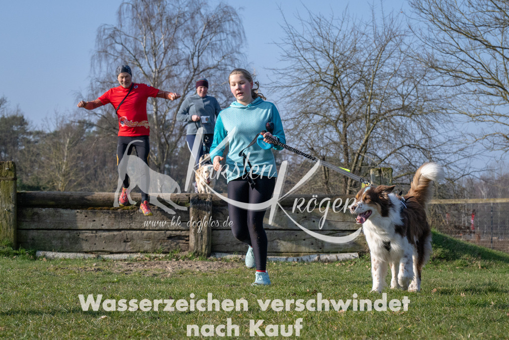 _ZZ90038 | kk-dogfotos
