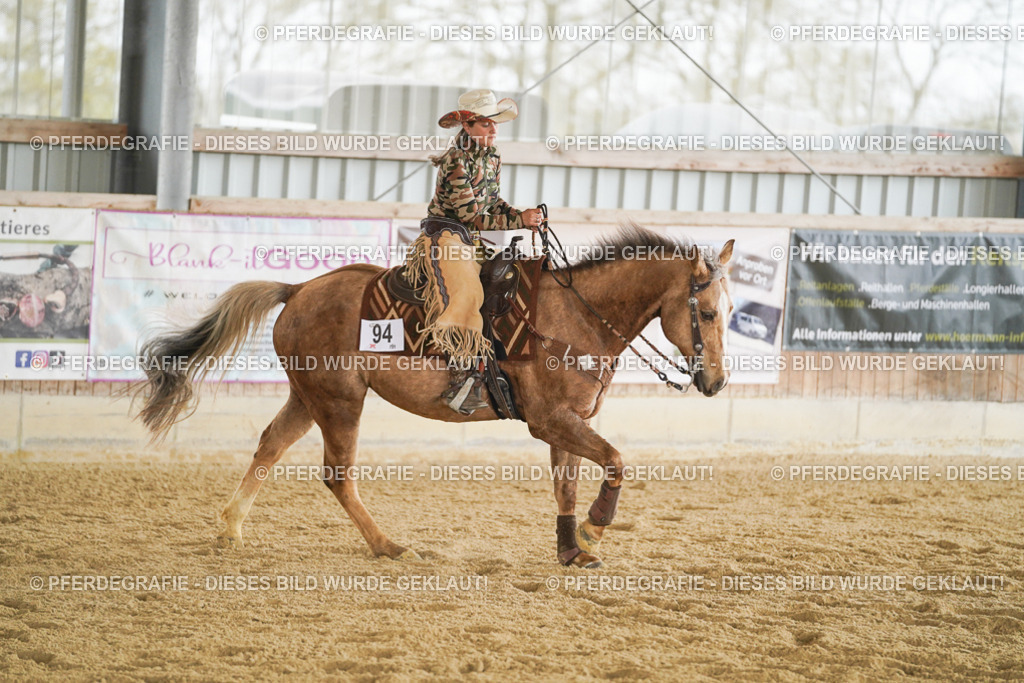 DSC03351 | Pferdegrafie