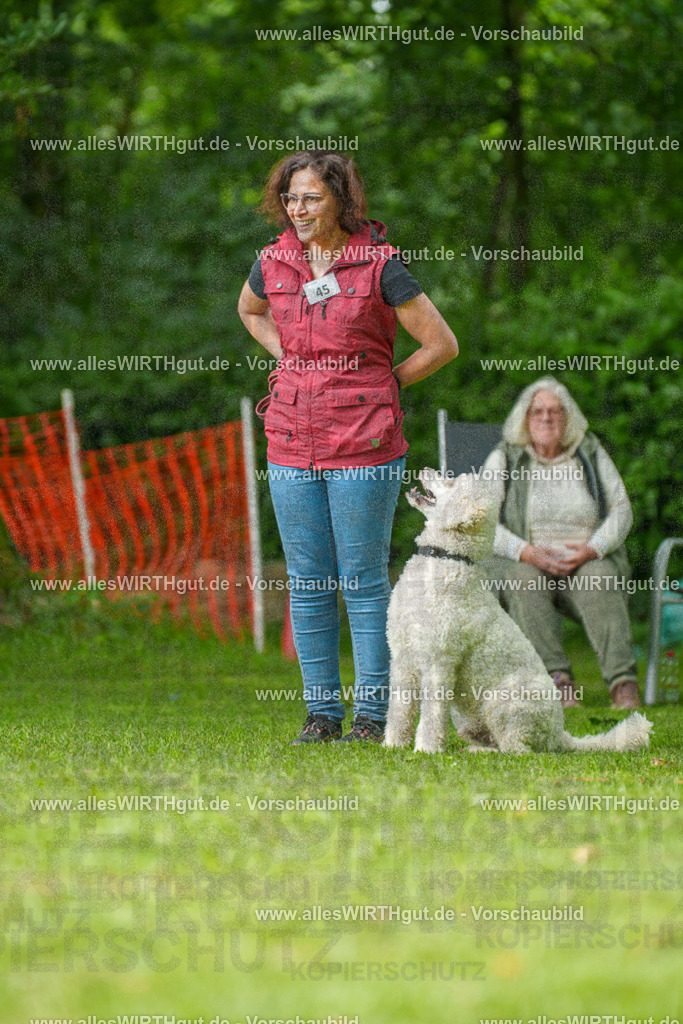 @allesWIRTHgut_Tierfotografie - www.allesWIRTHgut.de - 7R505174 | Professionelle Tierfotografie in Mönchengladbach von Daniel Wirth (allesWIRTHgut). Liebevolle & natürliche Bilder von Hunden & Katzen für unvergessliche Erinnerungen.