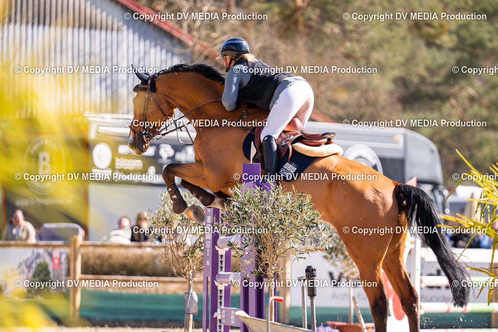 Kranichstein Tag 2-824 | dv-media-shop - Realisiert mit Pictrs.com