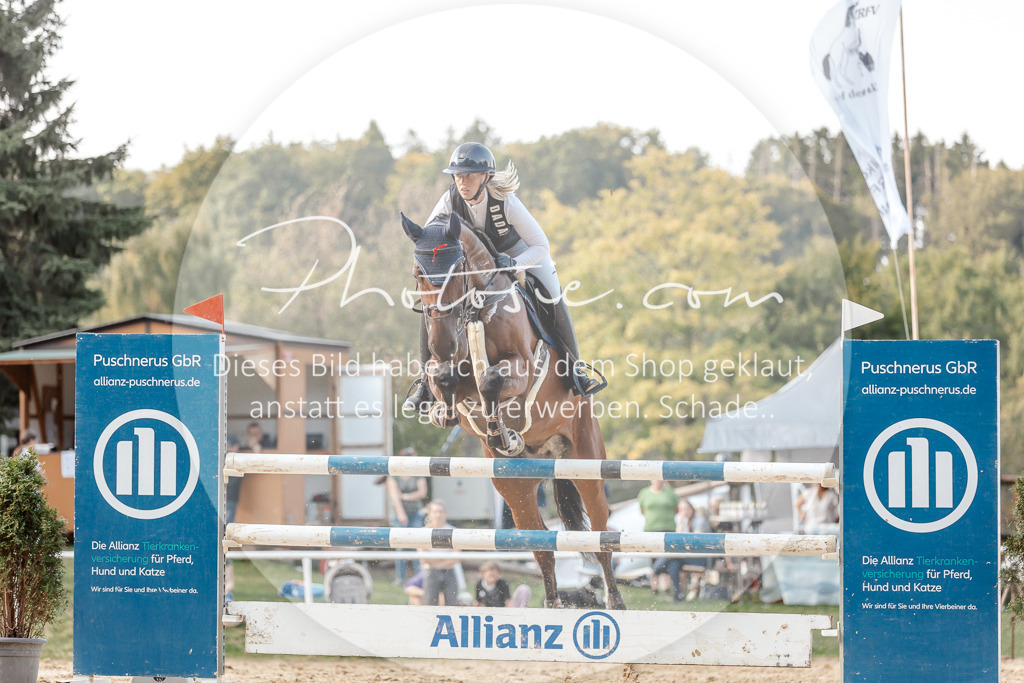 3I6A5203 | Stimmungsvolle Portraits und Reitsportfotografie im Ruhrgebiet und im Münsterland.

Pferdefotografie, Hundefotografie, Tierfotografie, Reportagen, Portraits von Tier und Mensch, Turnierfotografie in Bochum, Recklinghausen, Marl, Haltern am See, Dülmen.. - Realisiert mit Pictrs.com