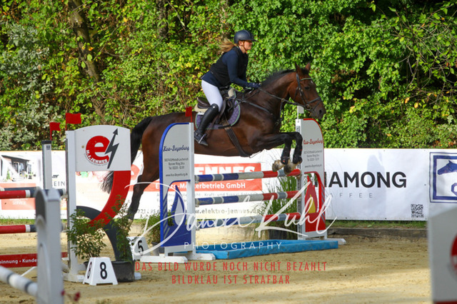 DKP42486 | Turniersportfotografie; Pferdefotografie; Dressurfotografie