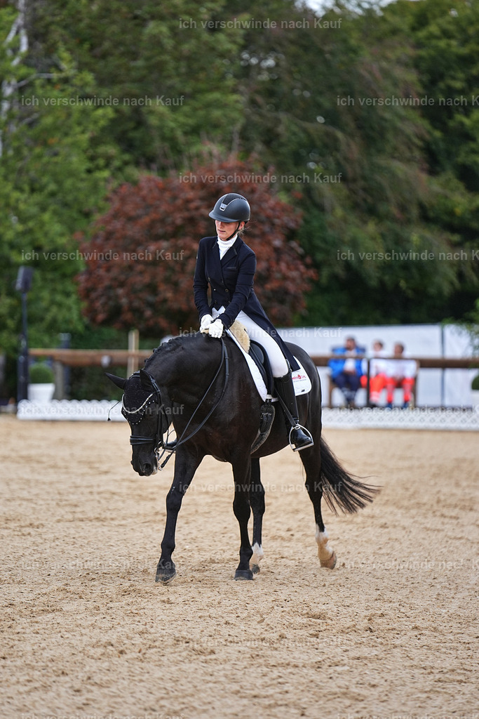 8_1-077-Klasse S_  -Marixx-4083 | working equitationturnier fotograf videograf stoibphotography marixx film working equitation deutschland reitsport turnierfotografie eventfotografie equestrian events