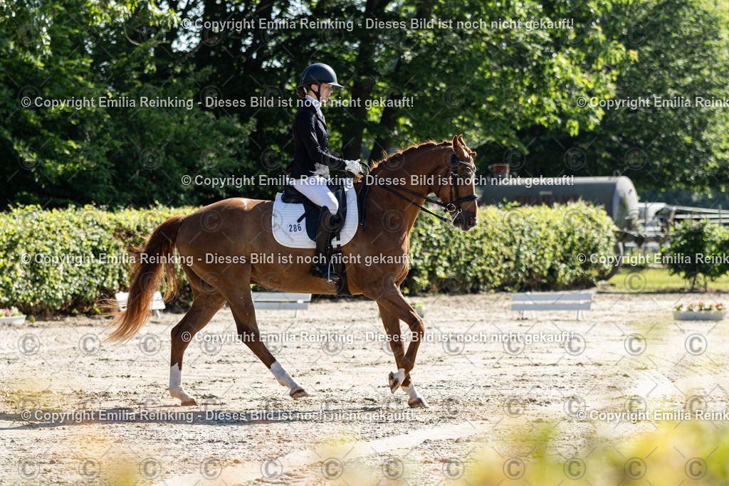 CL5A6911 | Emilia Reinking Fotografie - Realisiert mit Pictrs.com