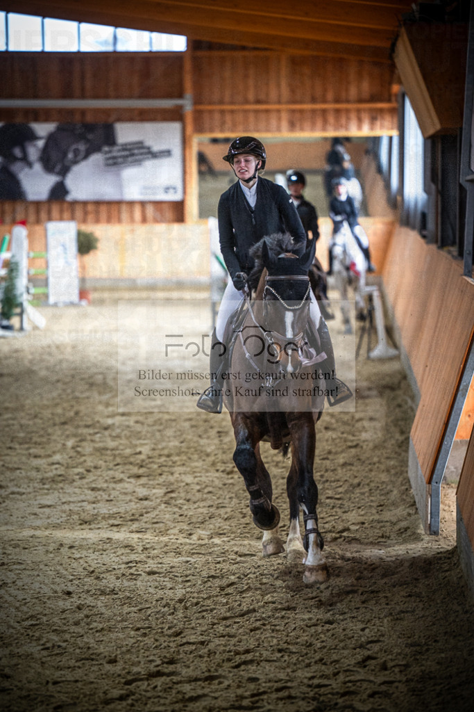 DOS_0033 | Entdecke hochwertige Reitturnierfotos von Foto Oger. Professionell, emotional und authentisch – jetzt Lieblingsmomente im Shop bestellen.Deutschlandweite Turnierfotografie. - Realisiert mit Pictrs.com