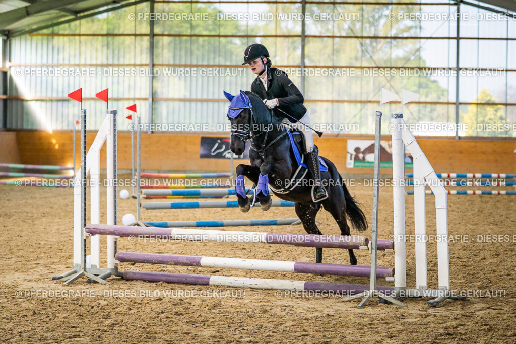 DSC01226 | Pferdegrafie