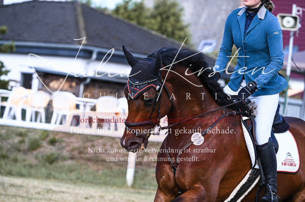 DSC_7566 | Pferde- und Turnierfotografie in Westsachsen. Pferdeportraits, Auftragszeichnungen und intuitive Kunst.
