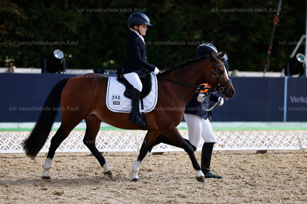 01--Ponyführzügel -StoibPH-6784 | working equitationturnier fotograf videograf stoibphotography marixx film working equitation deutschland reitsport turnierfotografie eventfotografie equestrian events