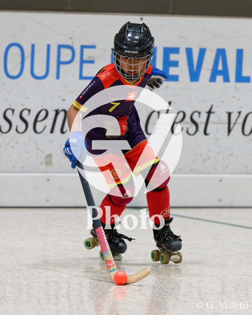 DSC_0606 | Velletri Photo