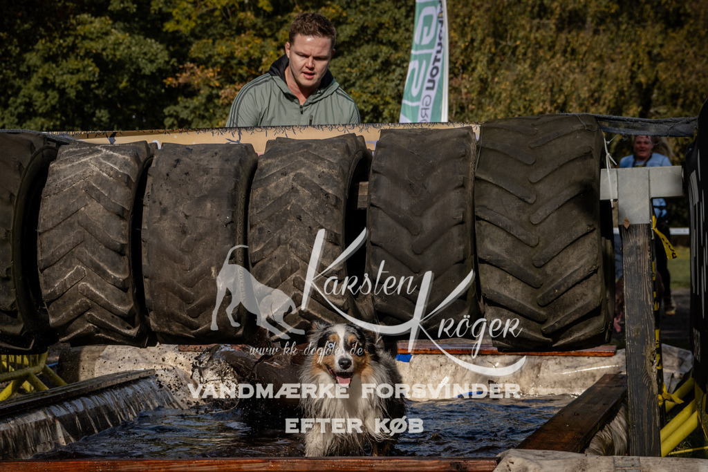 1342_ZZ92837 | kk-dogfotos
