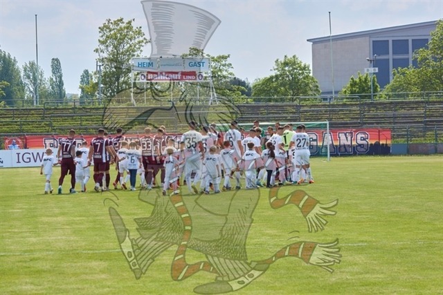 BFC Dynamo vs. Berliner AK 07 006 | mythos-online-redaktion