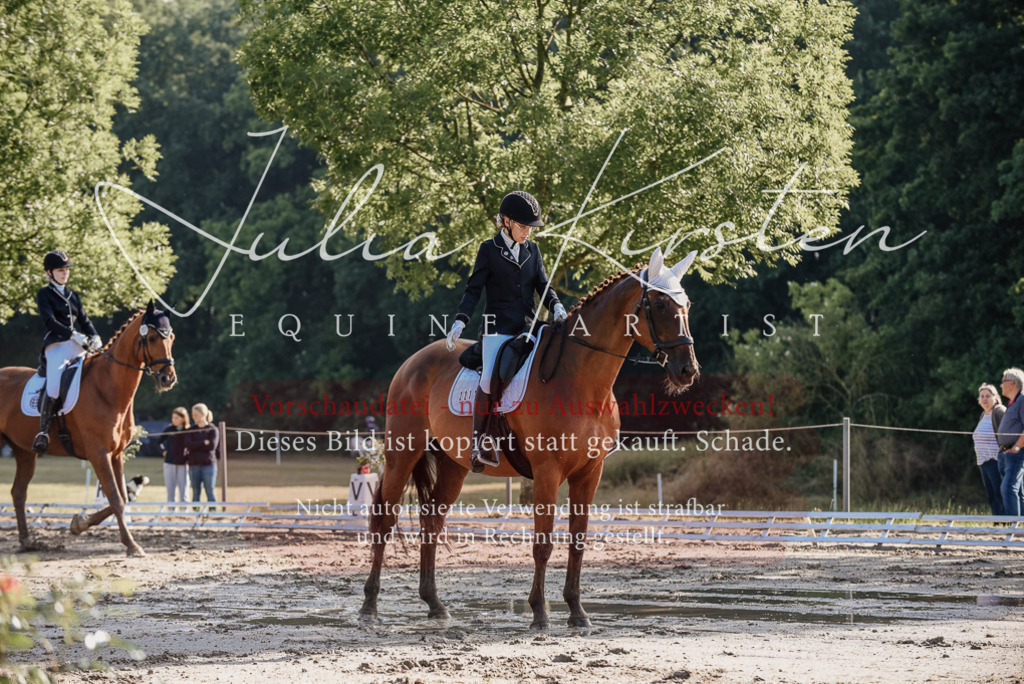 DSC_7750 | Pferde- und Turnierfotografie in Westsachsen. Pferdeportraits, Auftragszeichnungen und intuitive Kunst.