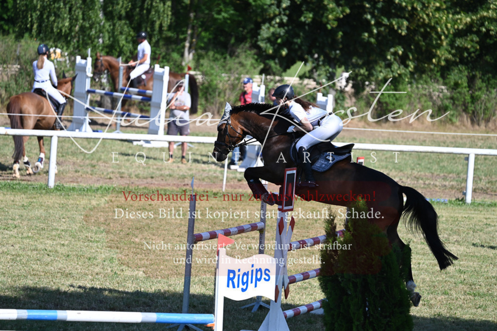 DSC_2055 | Pferde- und Turnierfotografie in Westsachsen. Pferdeportraits, Auftragszeichnungen und intuitive Kunst.