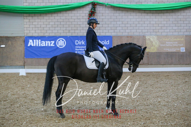 IMG_2649 | Turnierfotos kaufen im Webshop von Daniel Kuhl Photography – entdecke professionelle Reitsportfotos aus Turnieren & Events. Hochwertige Turnierbilder online bestellen & sichern. Jetzt Fotos von Reitsportturnieren kaufen!