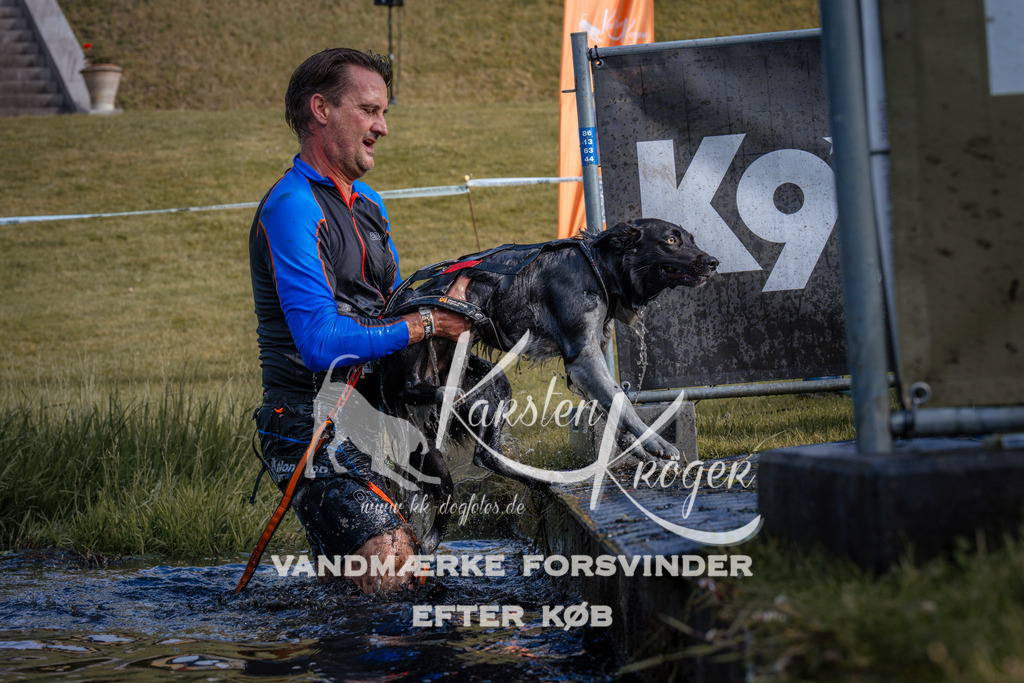 _ZZ968110737 | kk-dogfotos