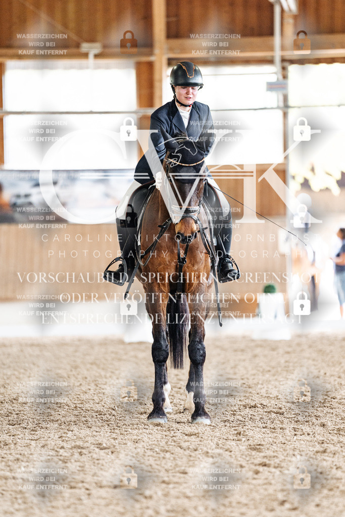 CK901785 | Turnierfotografie Pferdefotografie Trier Rheinland-Pfalz Pferdesport Reitsport Tierfotografie Sportfotografie Pferdevideo Pferdevideografie Equestrianvideography equestrianphotography  - Realized with Pictrs.com