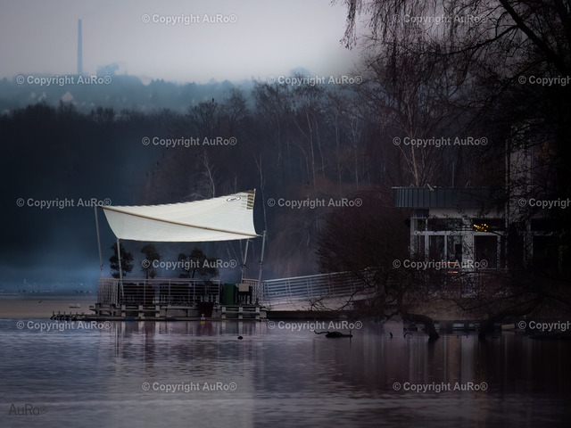 P1586506-DeNoiseAI-raw_1-Bearbeitet-3 | AuRo® Services - Realisiert mit Pictrs.com