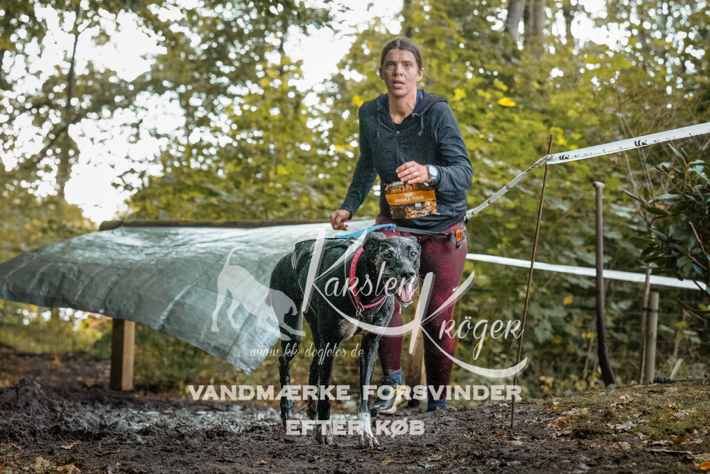 1410DZ6_1173-Bearbeitet-2Z6 | kk-dogfotos